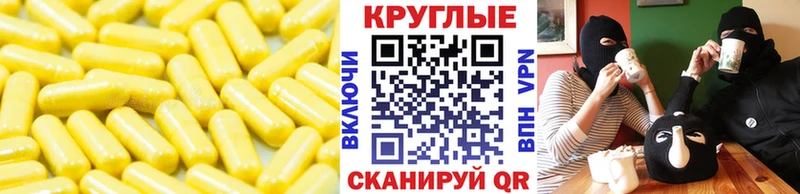 Ecstasy бентли  как найти   Судогда 