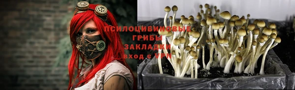 молекула духа Абаза