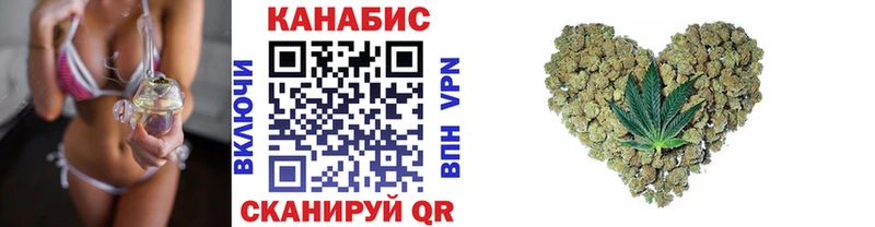 где купить наркоту  Судогда  Бошки марихуана VHQ 